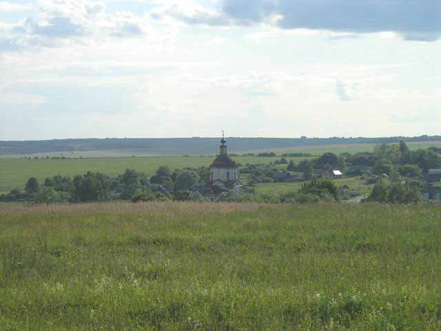 Вид на село Гридино Перевозского района Ниэегородской области