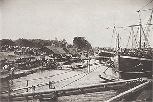 Хлебная пристань на Волге у Балаково, 1895