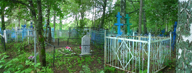 Христорождественское кладбище Нижегородская область, июль 2014